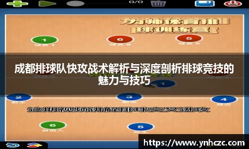 成都排球队快攻战术解析与深度剖析排球竞技的魅力与技巧